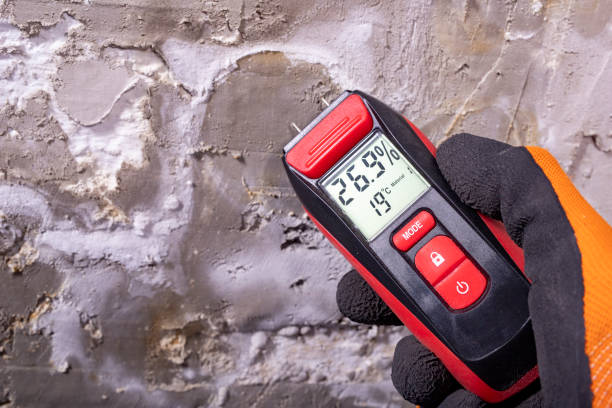 Best Mold Removal and Inspection  in Botkins, OH