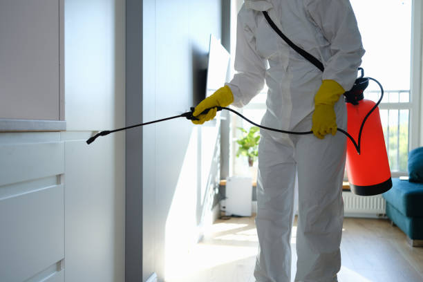 Best Local Mold Removal Service  in Botkins, OH