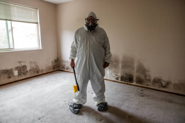 Best Professional Mold Removal  in Botkins, OH